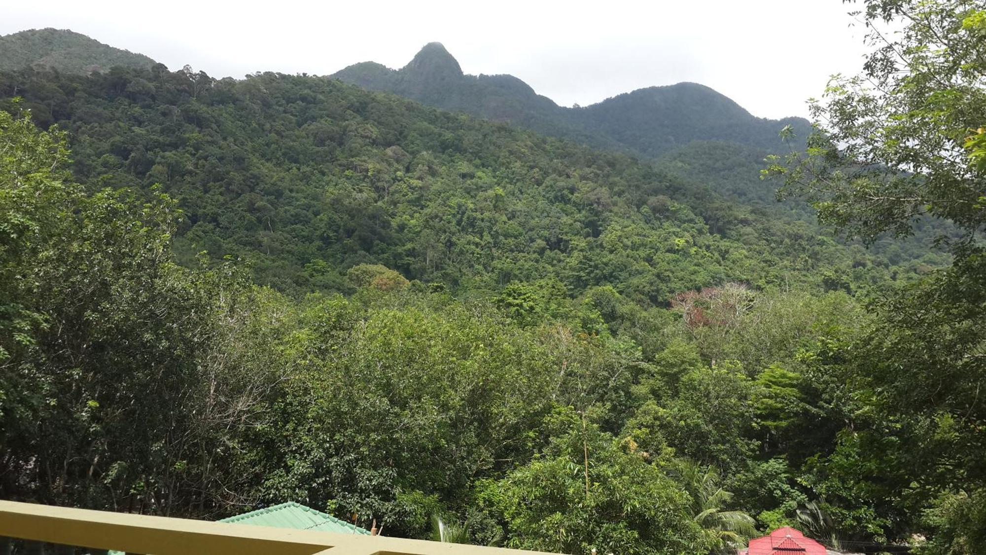 Island Lodge Koh Chang Luaran gambar