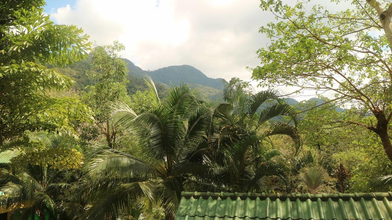 Island Lodge Koh Chang Luaran gambar