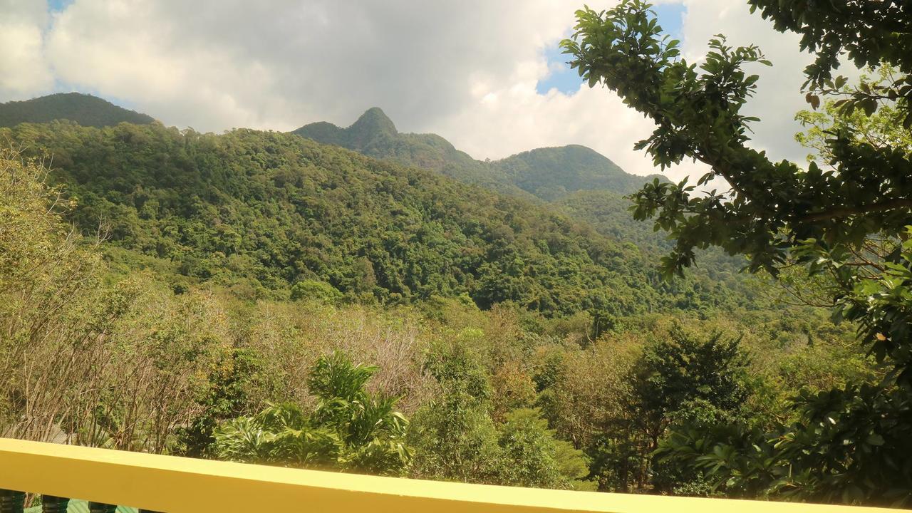 Island Lodge Koh Chang Luaran gambar